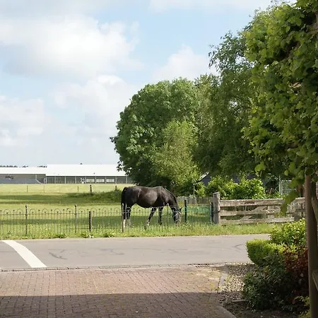 West-friesland Hem