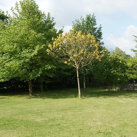 Oda ve Kahvaltı West-friesland