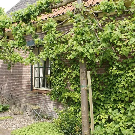 Oda ve Kahvaltı West-friesland Hem